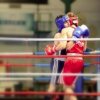 Boxe WBC - 7 Novembre 2010